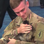 Soldier Reunites With Puppy He Met Overseas