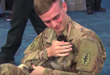 Soldier Reunites With Puppy He Met Overseas