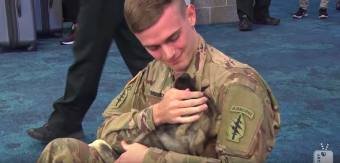 Soldier Reunites With Puppy He Met Overseas