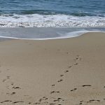 Creating Zen in Your Hectic Life