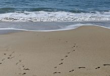 Creating Zen in Your Hectic Life
