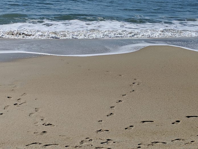 Creating Zen In Your Hectic Life
