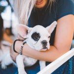 The Best Reasons to Get a Pet Want to Be Loved? Here’s Who Can Give You That