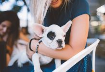 The Best Reasons to Get a Pet Want to Be Loved? Here’s Who Can Give You That