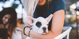 Want to Be Loved? Here’s Who Can Give You That