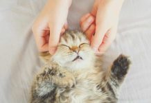 How To Self-Soothe At Any Age 5 Tips To Self Soothe Those Intolerable Feelings