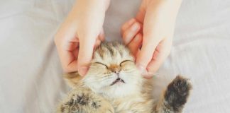 5 Tips To Self Soothe Those Intolerable Feelings