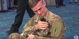 Soldier Reunites With Puppy He Met Overseas